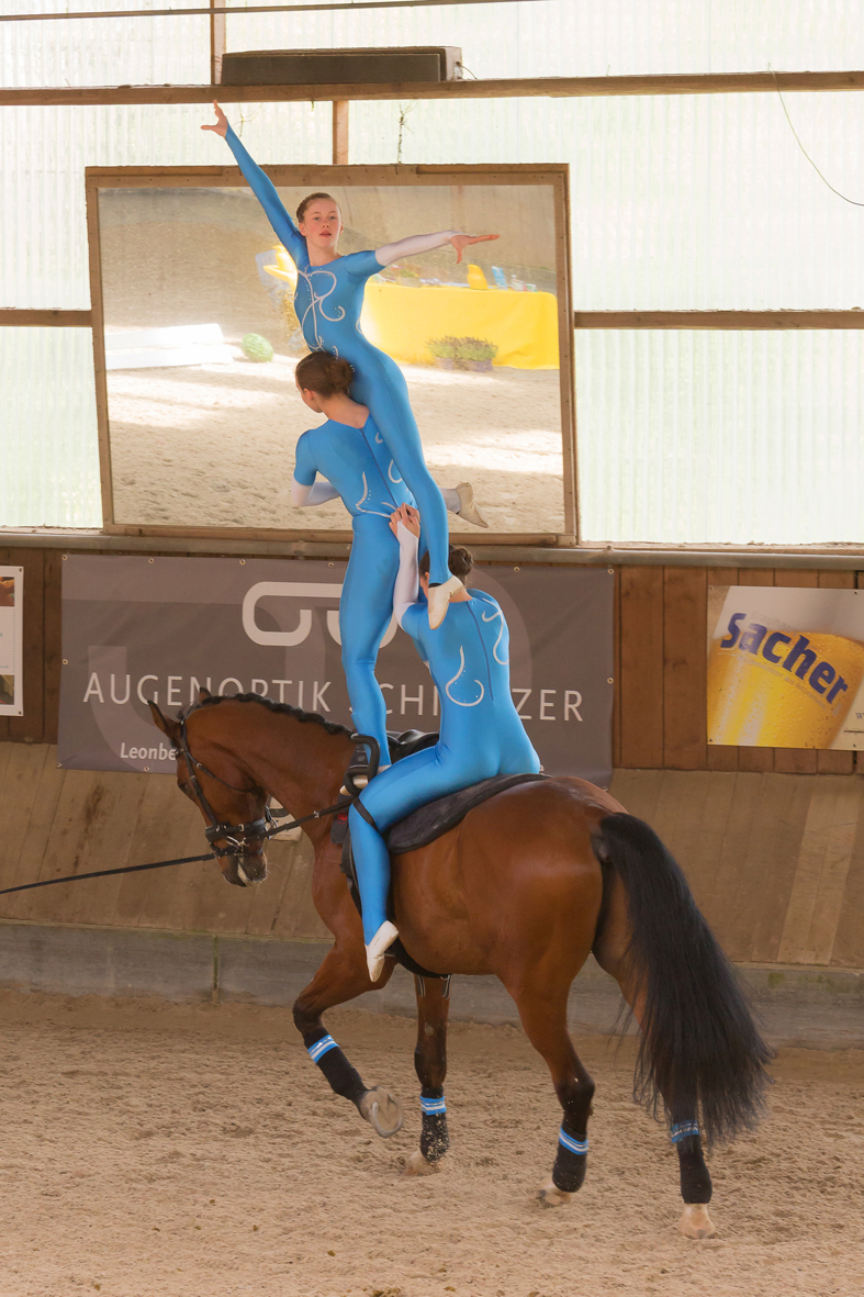 Voltigierturnier – Reitverein Leonberg